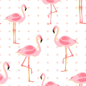 Seamless pattern pink flamingo standing on white background with pink dots.printing wallpaper.vector illustration
