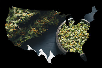 Macro of marijuana with trichomes and crushed weed and rolled joint in a grinder for chopping a...