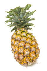 pineapple, materials used for cooking