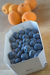 Heidelbeeren und Aprikosen