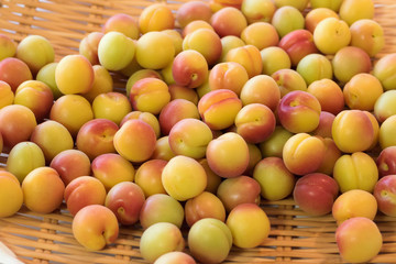 完熟梅、梅干し作り