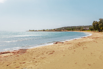 sunny sand beach