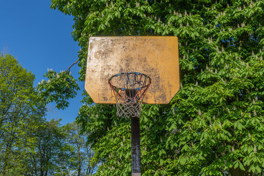 Old Basketball Hoop In Park