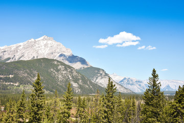 Fototapeta premium Landschaft Berge und Wald