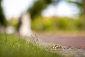 gold rings of the groom and the bride lie on the asphalt