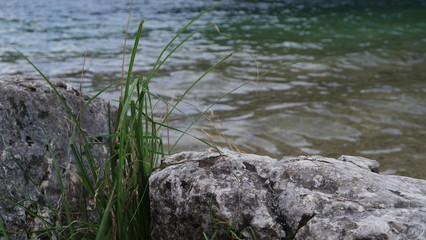 Fototapeta na wymiar stone on the shore of the lake, rock