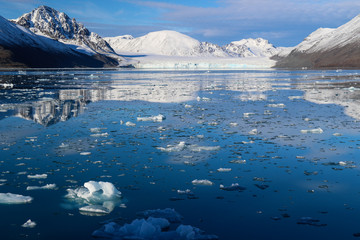 Icebergs and glaciers in Greenland