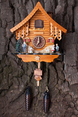 Vintage cuckoo clock on the wood wall.