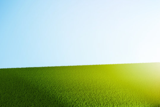 green grass 3d rendering meadow lawn