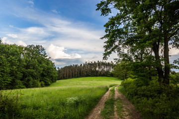 Rural road and the evening cloudy sky