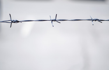 gray barbed wire