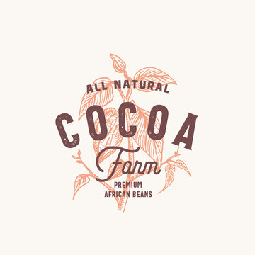 Cocoa Bean Farm Abstract Vector Sign, Symbol or Logo Template. Hand Drawn Cacao Bean Branch with Premium Vintage Typography and Quality Seal. Stylish Classy Vector Emblem Concept.