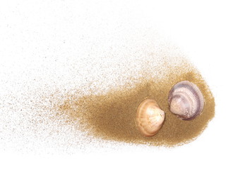 Sea shells in sand pile isolated on white background, top view