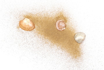 Sea shells in sand pile isolated on white background, top view