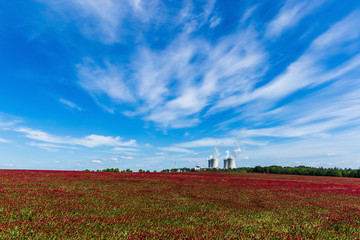 Nuclear power plant Temelin and clover field in Czech Republic.