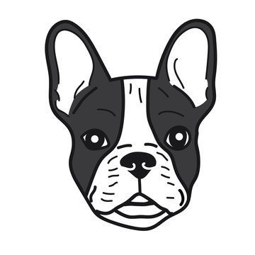 portrait of french bulldog doodle on White Background,Vector illustration