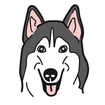 portrait of siberian husky Dog on White Background,Vector illustration