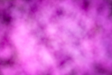 background beautiful live flowers