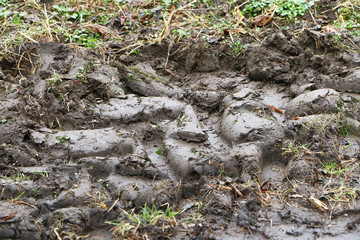 Traktorspuren im Matsch