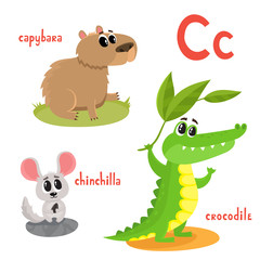 Vector cartoon illustration of wild animals isolated on white