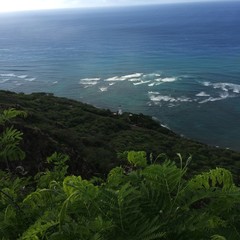 The coast