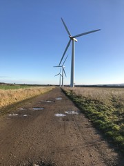 Wind farm 