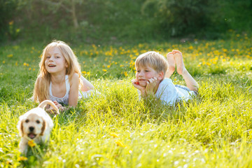 Adorable boy and lying on the grass stroking and playing with their Golden Cocker Spaniel puppy dog summer day. Childhood and animals friendship concept. © Iryna