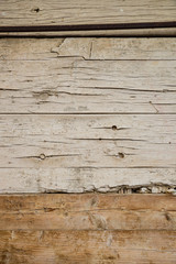 Old wood texture