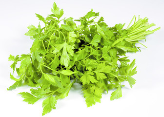 Fresh parsley on white background
