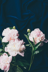 top view of light pink peony flowers on dark cloth