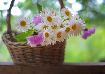 bouquet of daisies flowers and cornflowers in the basket in the garden on wooden background