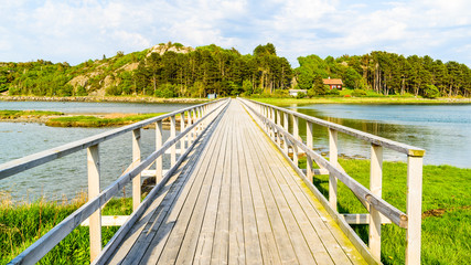 Fototapeta na wymiar Long wooden pedestrian bridge in coastal landscape on a sunny evening.