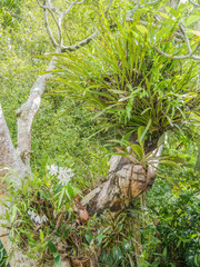 Sri Lanka sightseeing trip