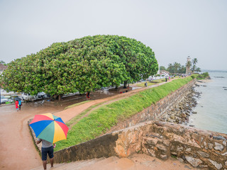 Sri Lanka sightseeing trip