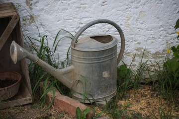 old watering can in the garden