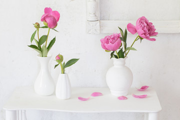 pink peonies in vases on white background