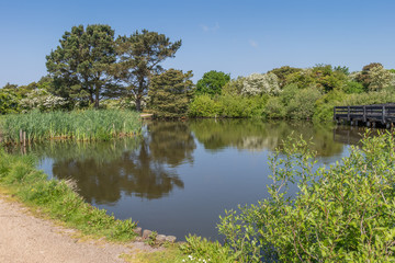Fototapeta na wymiar lake in country park
