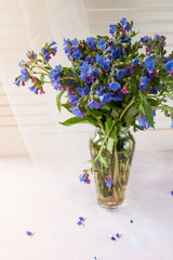 Bouquet of wild forested lungwort in glass vase on light background.