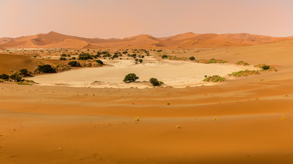 Fototapeta na wymiar Argile sable et chaleur dans les dunes entourant Sossusvlei