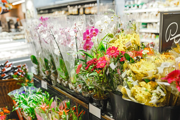 Woman sniffing flowers in a shop