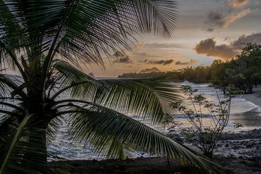 Couch&eacute; de soleil tropical 