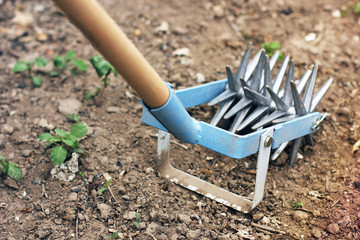 Tool for working in the garden