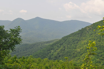 view of the mountains and trees on a sunny day