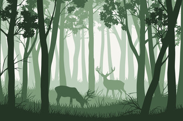 Vector green forest landscape with trees and two deers © Kateina