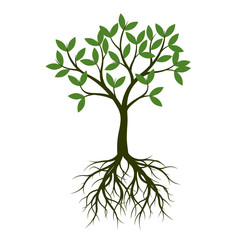 Green Spring Tree with Root. Vector Illustration.