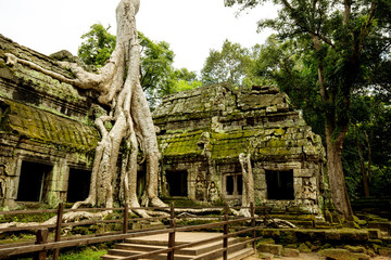 Ta Prohm