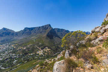 Fototapeta na wymiar View of Table Mountain in Cape Town on a clear day