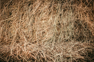 full frame image of pile of dry grass background