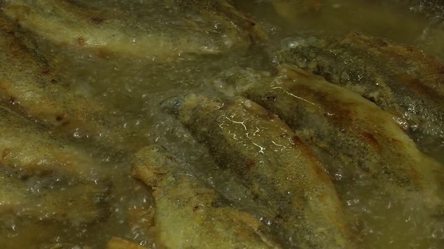 Fish fried in a frying pan until golden brown,Pieces of fresh fish are fried in a frying pan in flour and they are turned with a fork.Chef is cooking fish.Preparing of fish for frying.