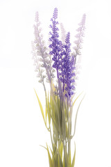 fake lavender on isolated

